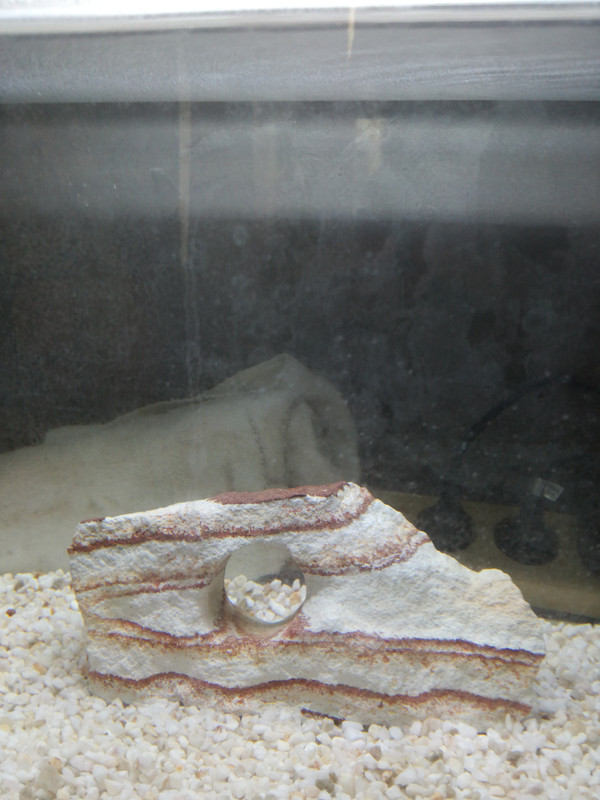 16607286228961250184306