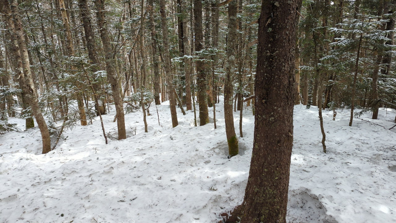 IMG 20260313 133014 952