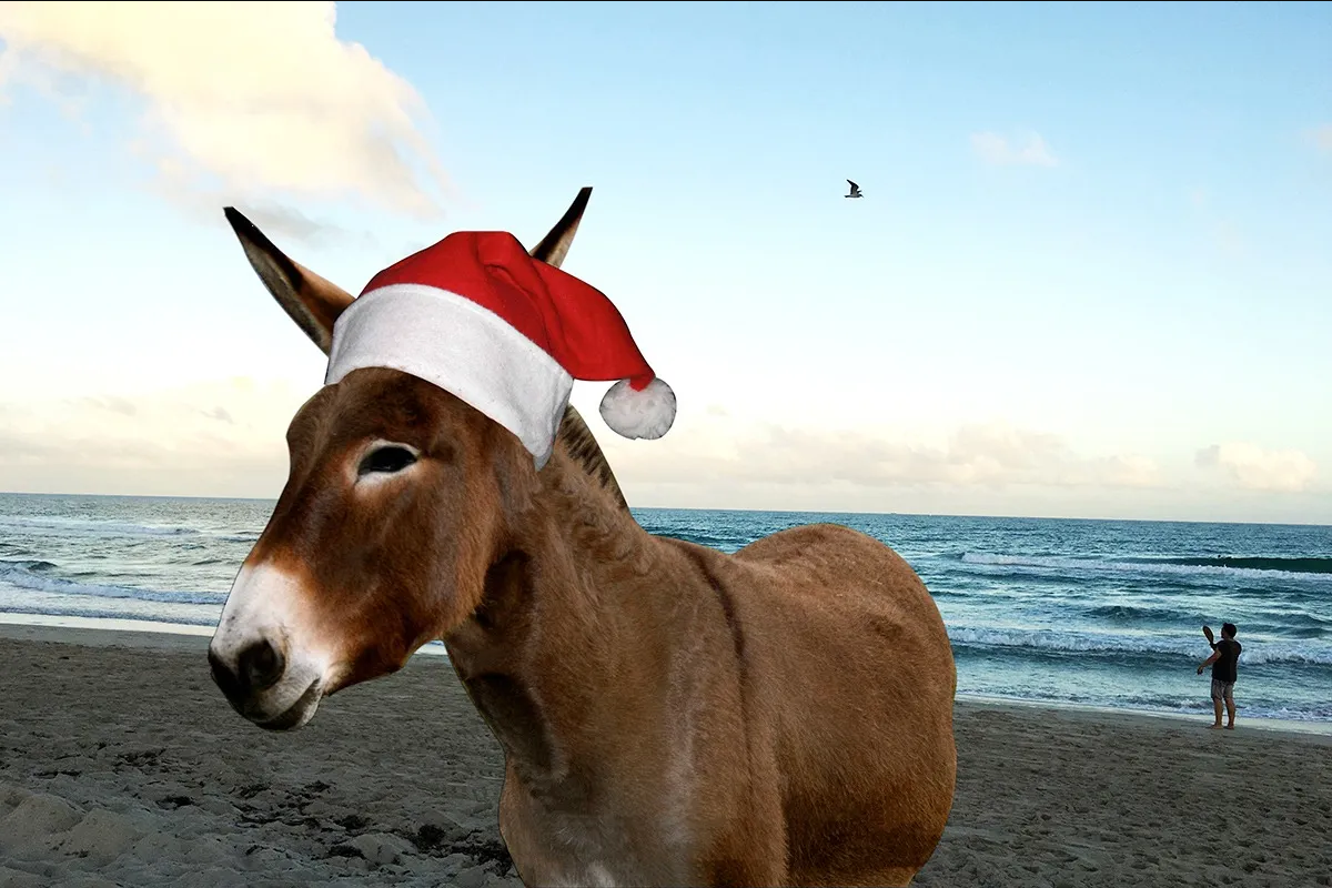 ¿Conoces el origen del famoso villancico “Burrito Sabanero”?