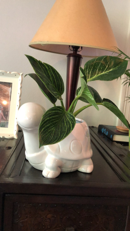 E62147B8-06A3-4A76-B6CF-2275BFAD023F