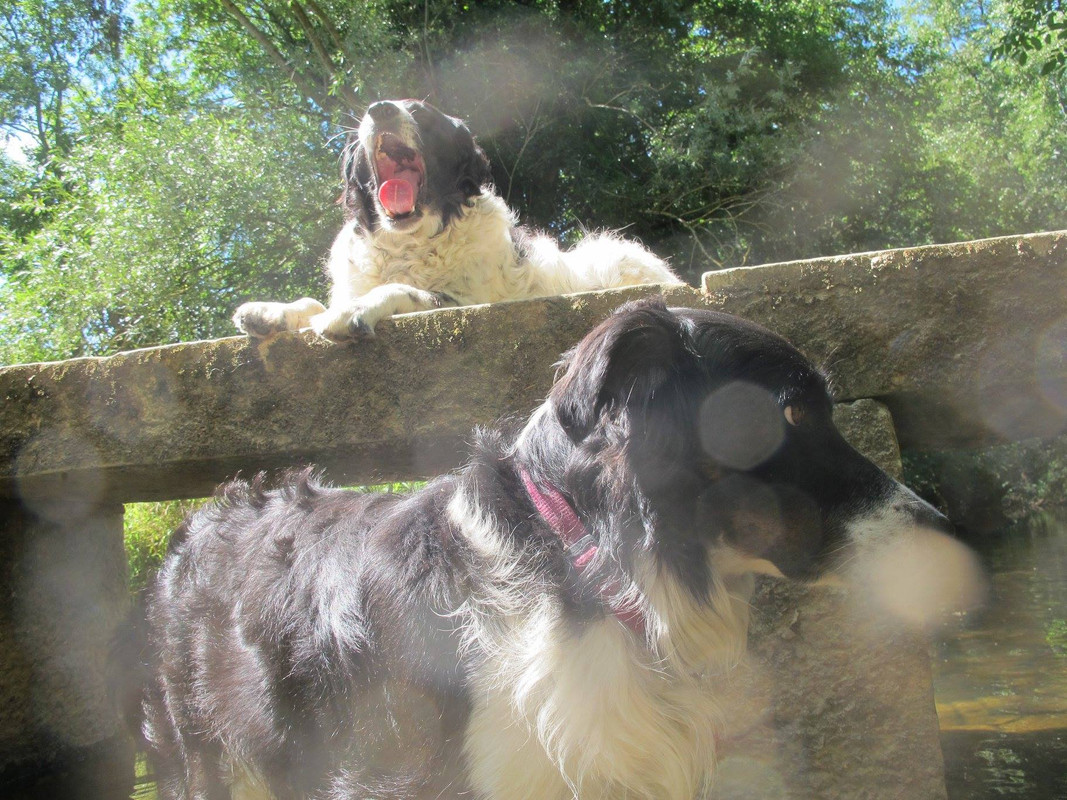 717E0751-899E-41FC-8489-AE55DFC0E25F