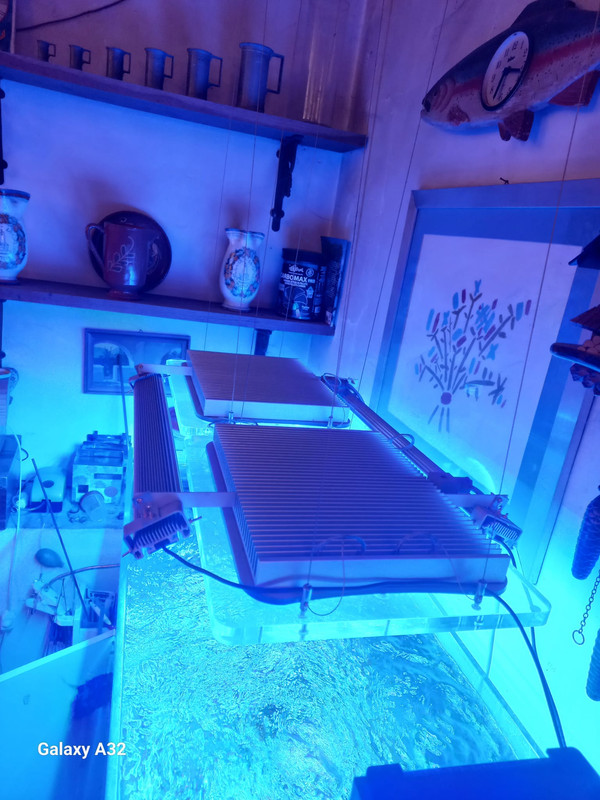 Whats App Image 2026 03 05 at 21 21 53