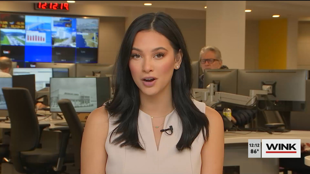 11.03 - 16.00.00 - The WINK Noon News  ᴺᵉʷ. Midday news update..ts_snapshot_18.42.144