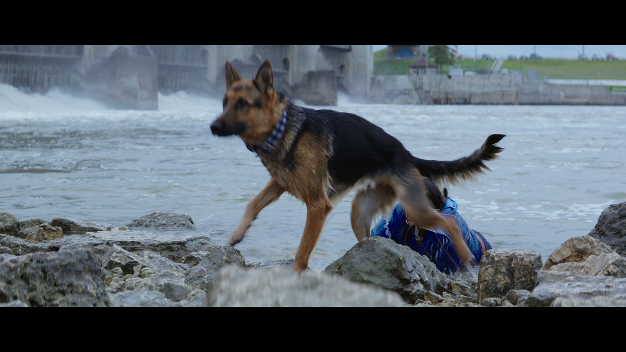 vlcsnap-2023-06-14-19h39m07s063