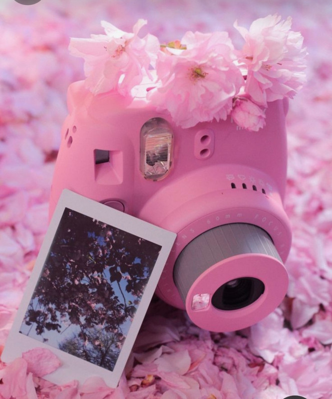 Screenshot_20240424_223935_Pinterest