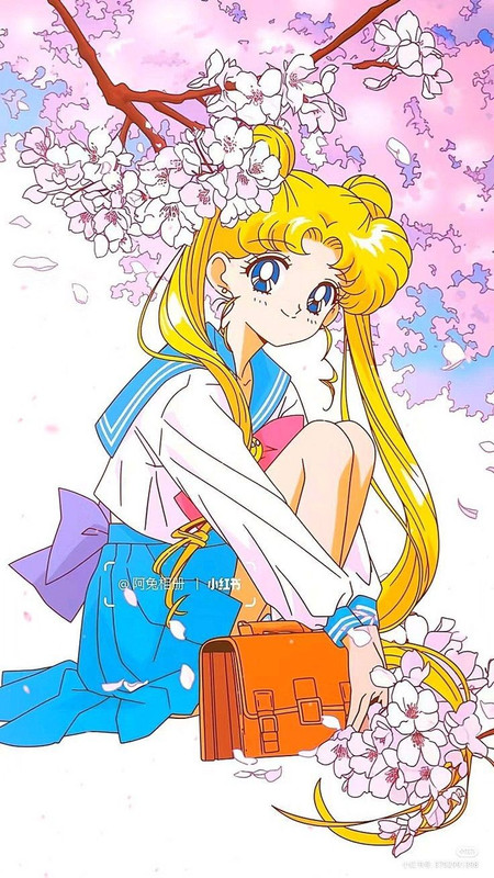 usagi 1