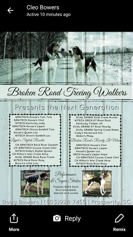 Screenshot_20180814-115308_Messenger