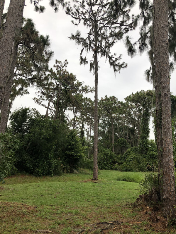 C116FE9D-3DDB-449E-9AFC-53F6F49C0EC8