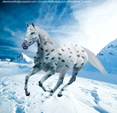 41B300A2-9318-4AB5-9C67-B7FFF89BC684