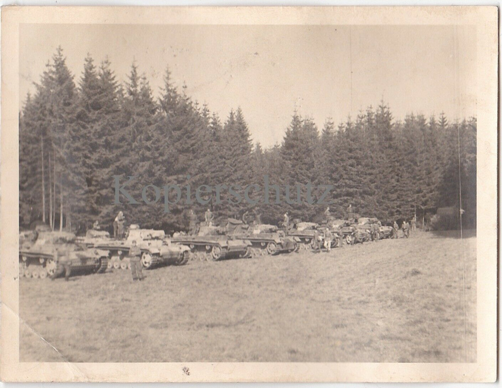 Panzer III in Reih und Glied in einem Waldstück