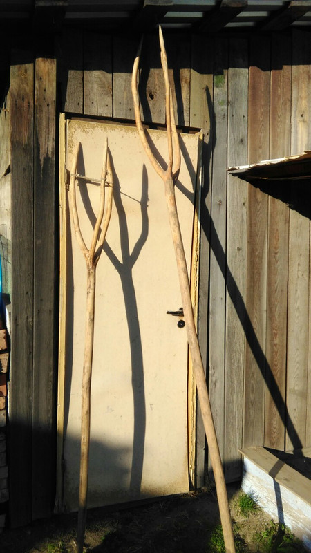 IMG-9c3fda43b8269b6fabec4979fee57060-V