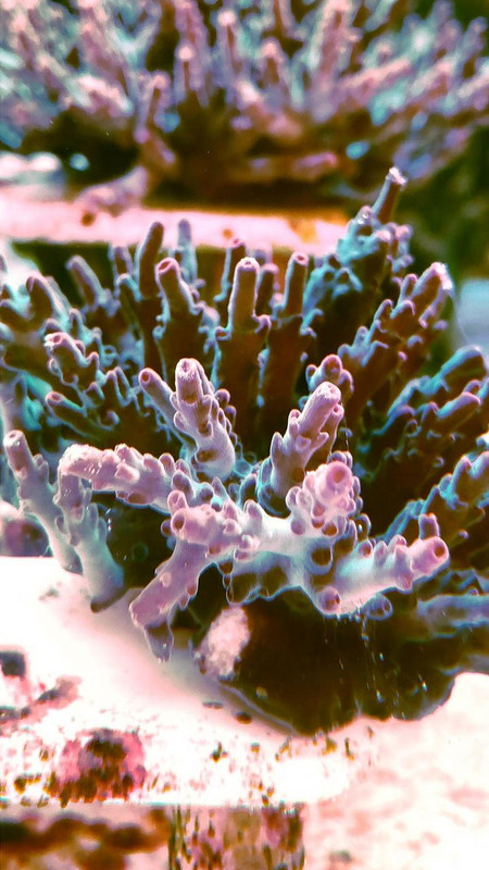 38D2ABC8-A1C4-431A-A9AE-24CB3022F72F