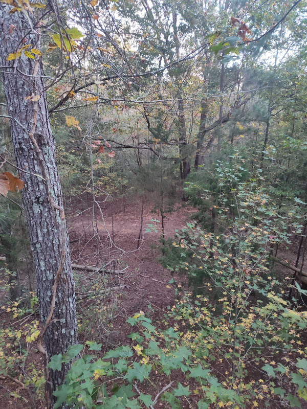 IMG_20251019_074018323