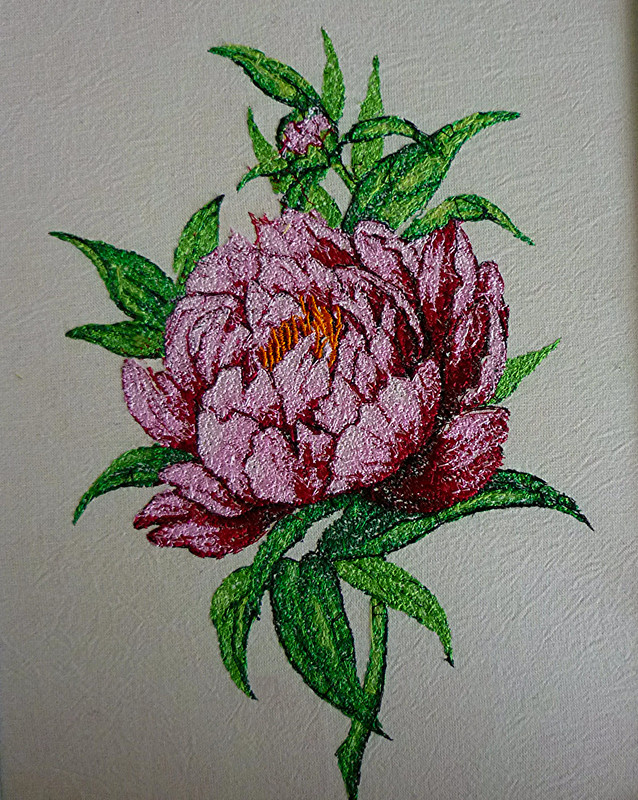 пион Птерис