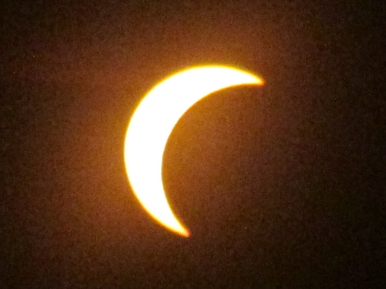 IMG-9949.jpg