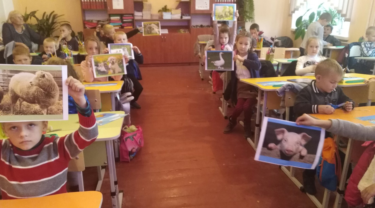 IMG-2aa883b097bf512d7dd3660c8c5836f6-V