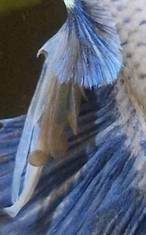 WhatsApp Image 2025-01-13 at 10.52.18