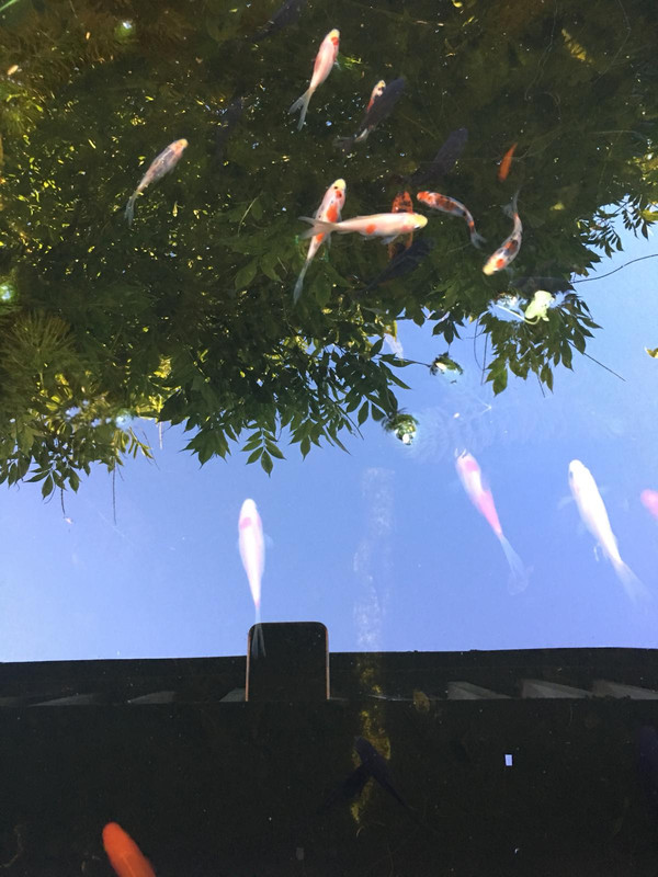 4A0E2647-862E-4F43-A710-039FDAC6A45B