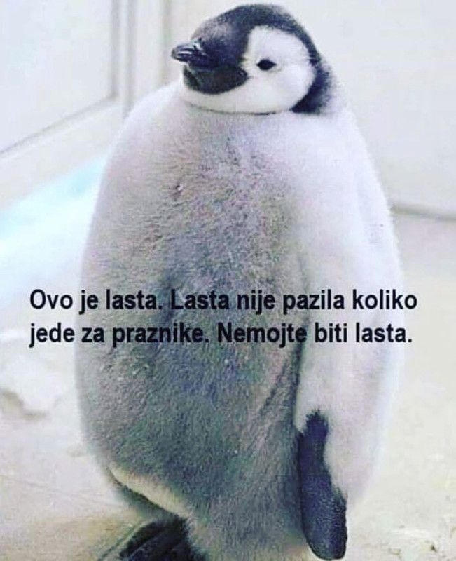 65EF9481-4C5E-4CE3-A40F-C332EDA48C2F