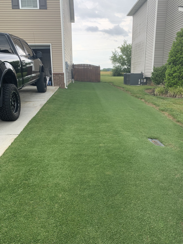 F7396DB1-52CE-4FD4-9164-E09189B6DE26