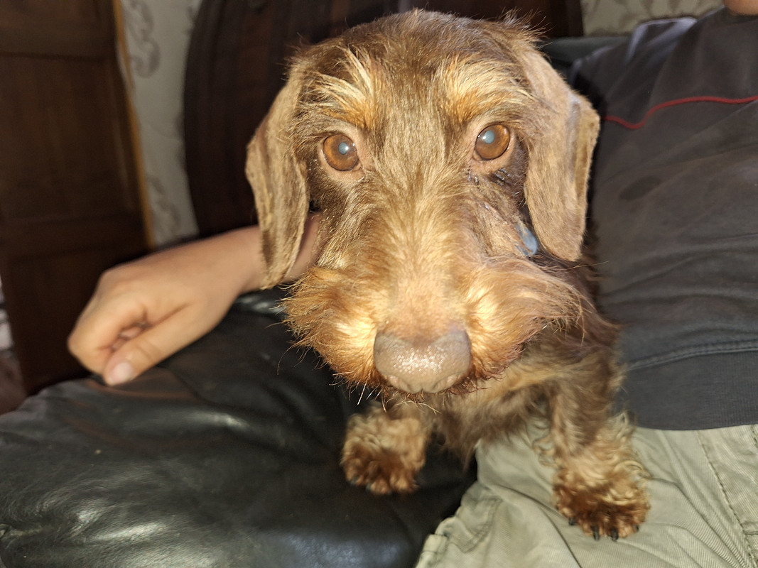 [Image: 20240530-101305.jpg]