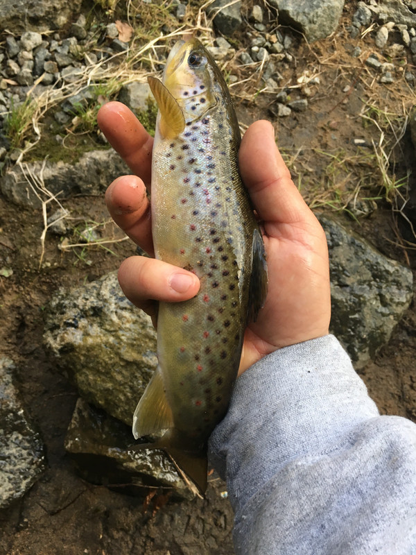 DCF51938-5C89-404F-A477-49D7C17A10E1