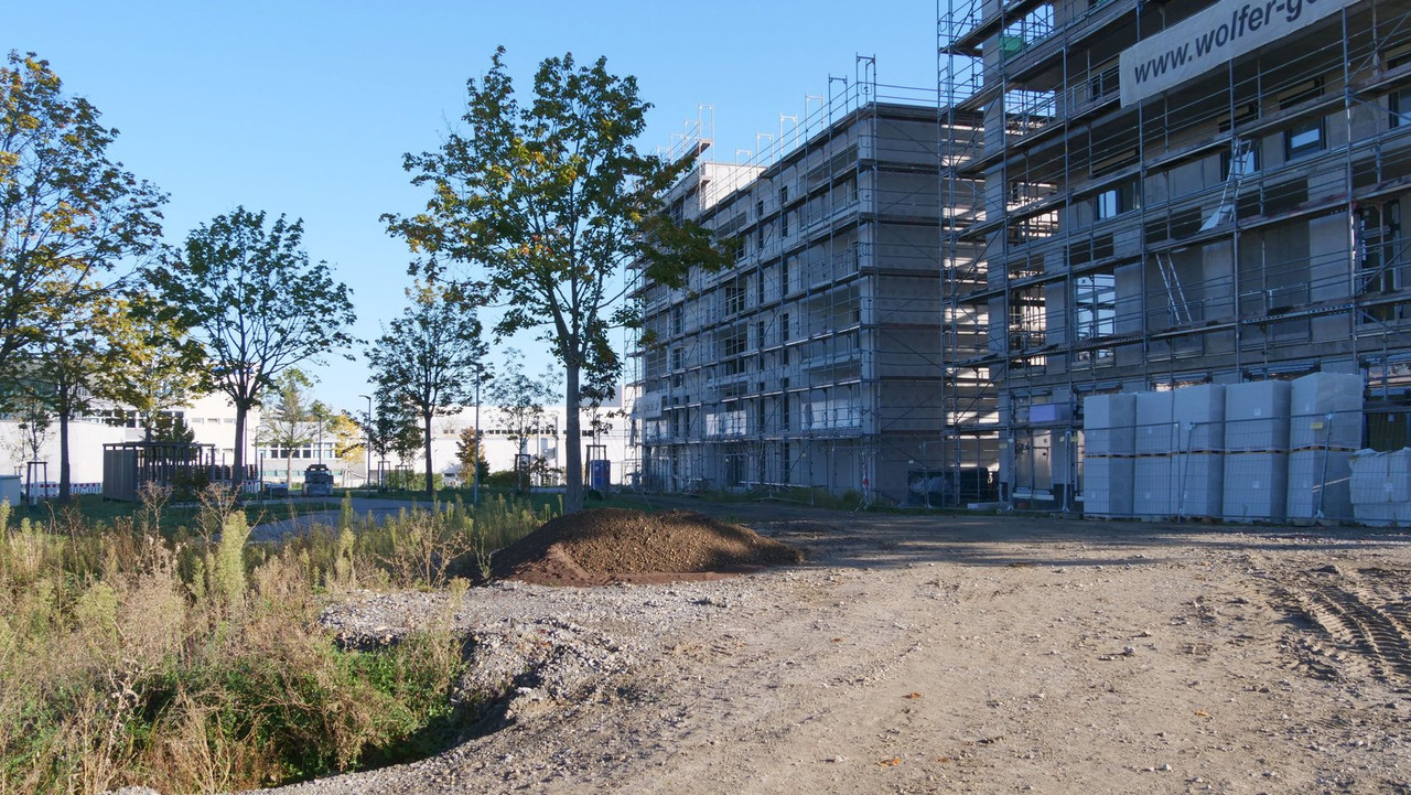 [Bild: 290924-092410b.jpg]