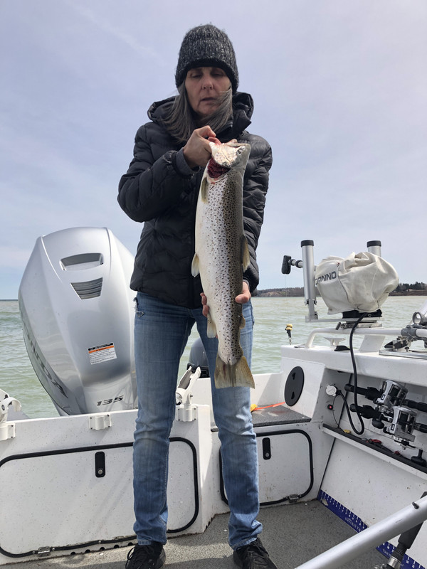 EFB983A8-027D-467B-A7EE-080D645138D6