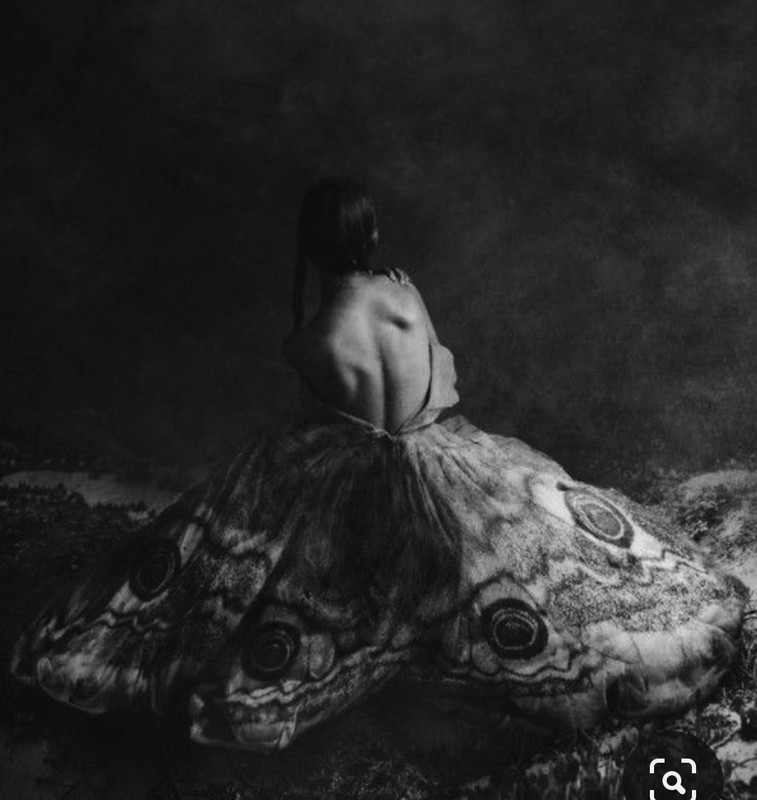 Screenshot_20230730_000642_Pinterest