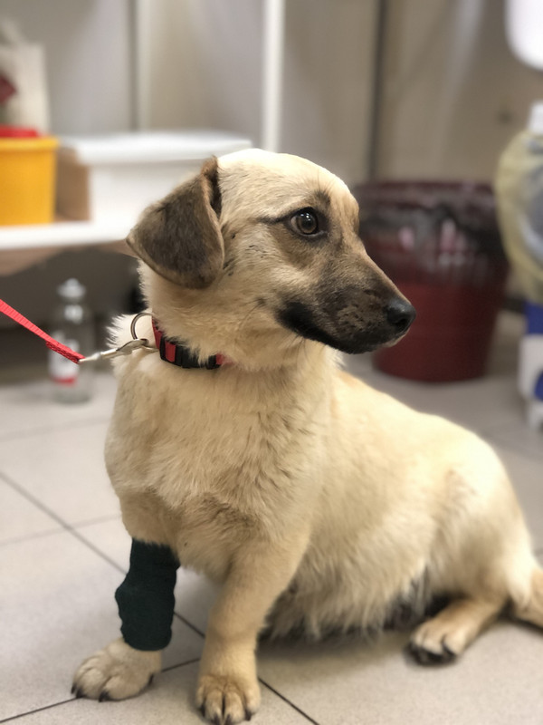 785B91A3-BCC4-46B7-B607-698EB9FABE58