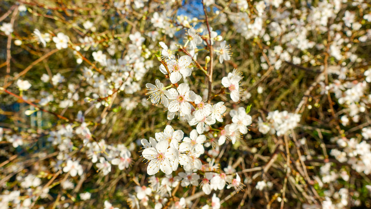 DC4912F6-4549-40A9-ABDA-87CE621336E7