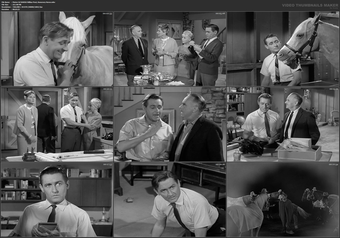 Mister Ed S04E02 Wilbur Post, Honorary Horse.mkv