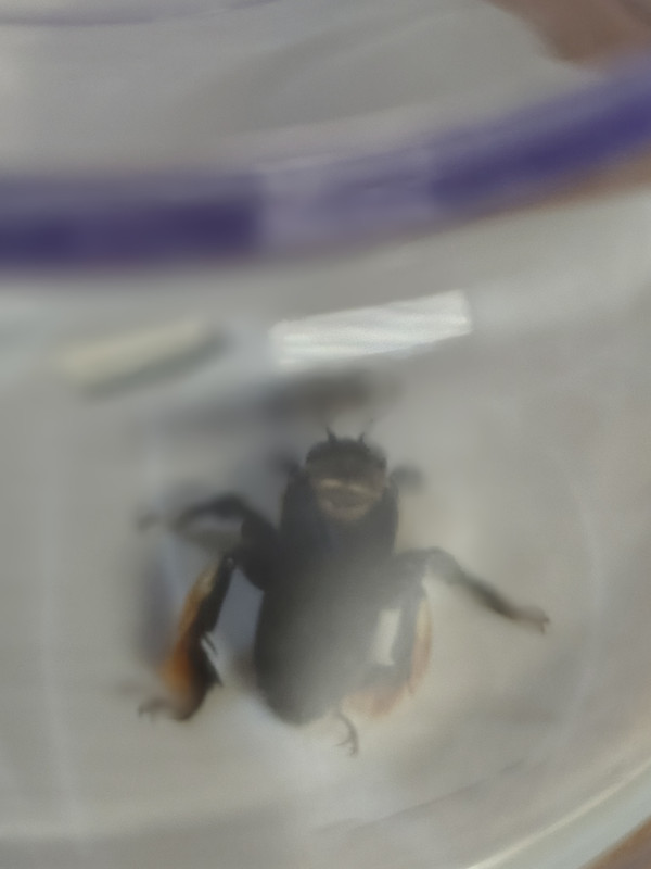 IMG 20260326 231129012 HDR PORTRAIT