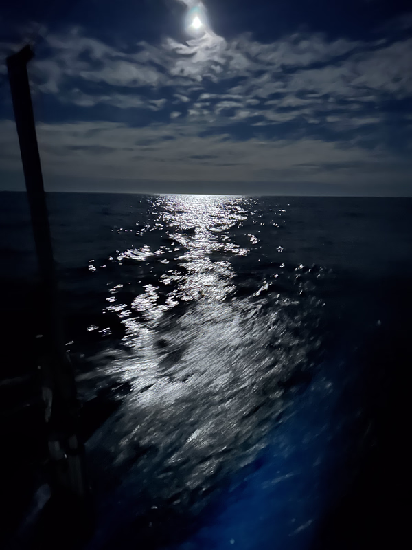 [Imagen: IMG_3663_HEIC.avif]