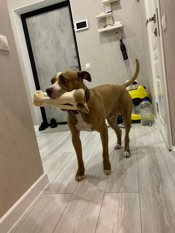 6490243E-7033-45C4-998C-B1F7431897F9