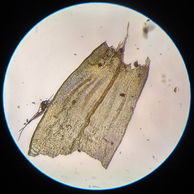 IMG 20250616 210954 HDR