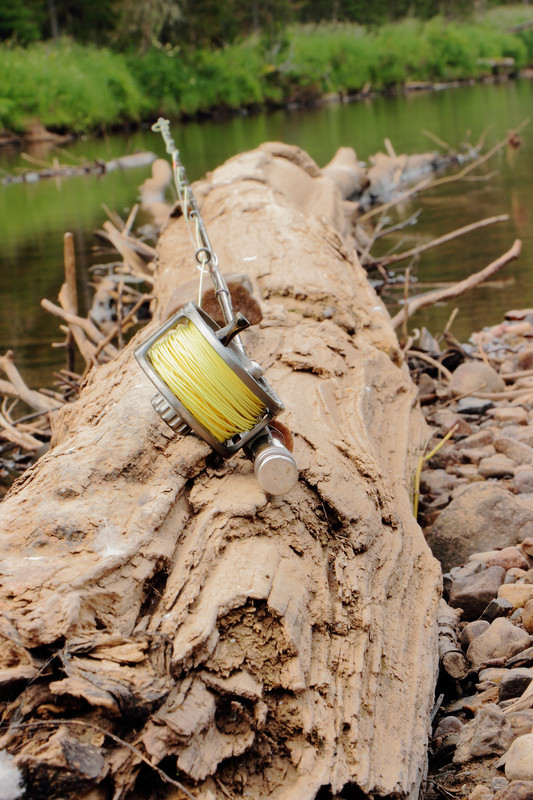 IMG_5984 (3396 x 5094)