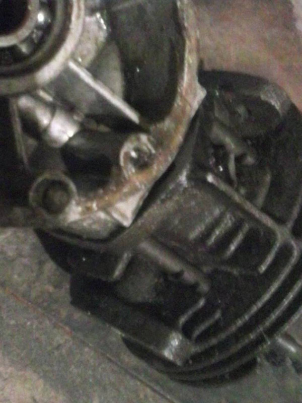 15191_286866838160214_5853292994367773896_n