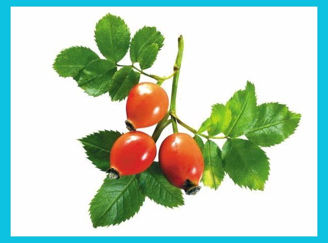 [Изображение: photo-2026-01-17-06-38-20.jpg]