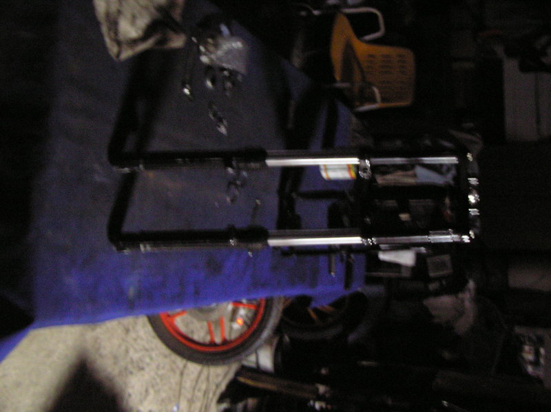 Picturevela luka 551