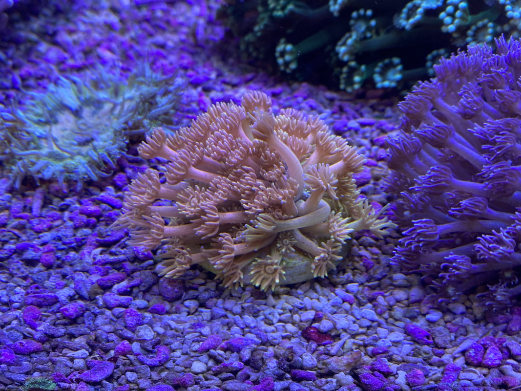 AEDC2988-296-F-49-CD-A6-ED-F52-A35-A18774.jpg