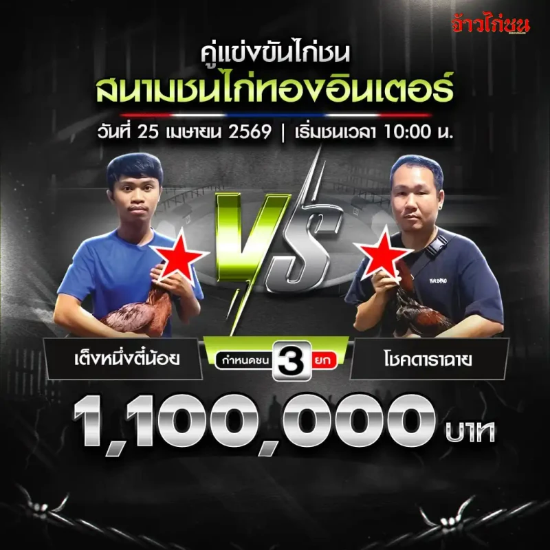 รูปคู่ เต็งหนึ่งตี๋น้อย พบ โชคดาราฉาย สนามชนไก่ทองอินเตอร์ 25 เมษายน 2569