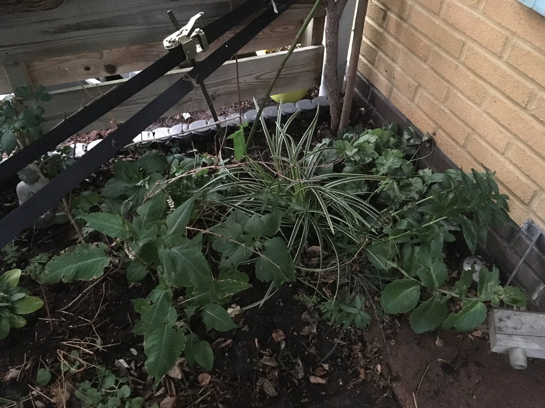 48771DBB-B6CA-465B-8CFB-17B1325D9E72