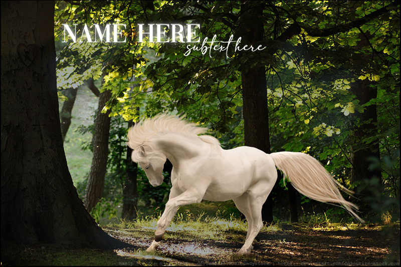 sale-photo-resized.png