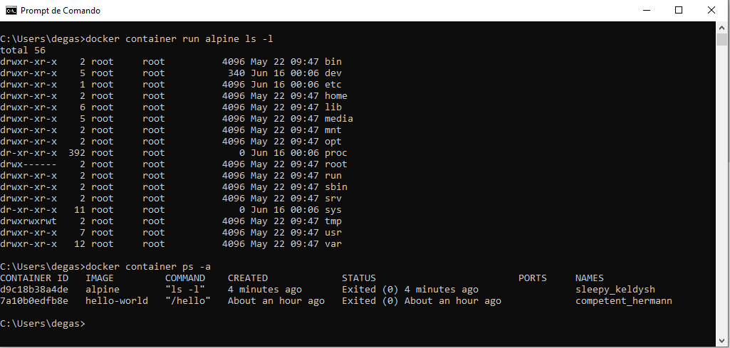 docker-ls-l.png