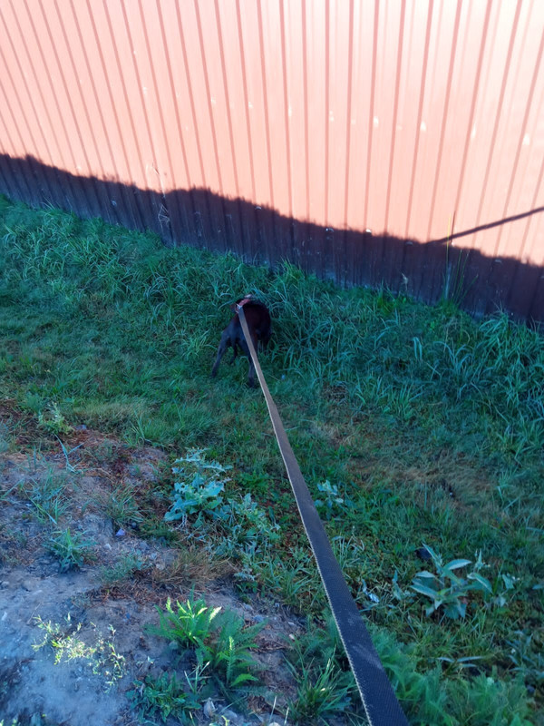 FF77C4E8-0774-4BA5-B9A6-40FDB930EF6D