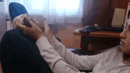 daily-gifdump-3388-12.gif