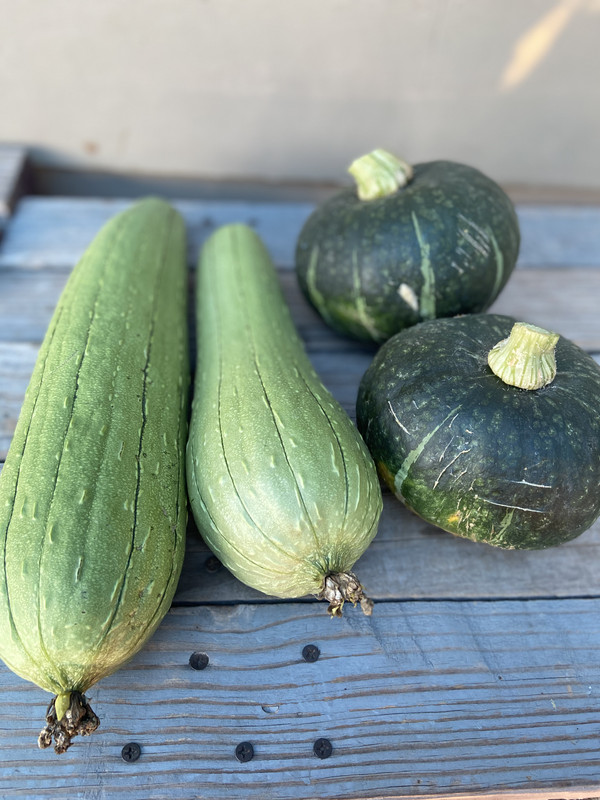 EA91DF38-A0B7-44A8-BF93-FAB9513C4C7A