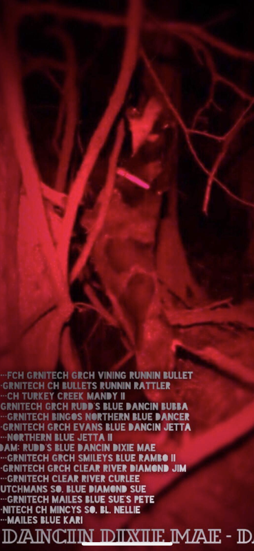 786CB0D0-9696-4BB0-BDAD-EBE9DABF4AAA