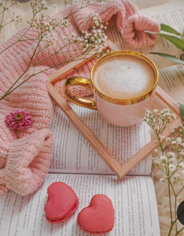 Screenshot_20230315_231849_Pinterest